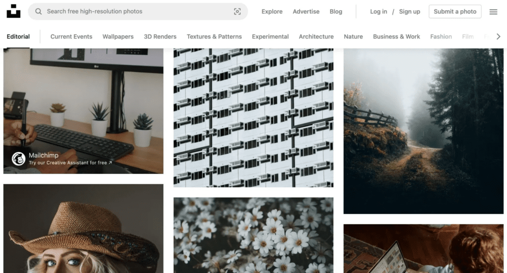 Find curated stock images and hire Grace and Company Designs to update and customize your Showit website, including integrating and refreshing your visuals.